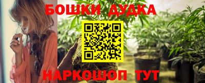 индика Новодвинск